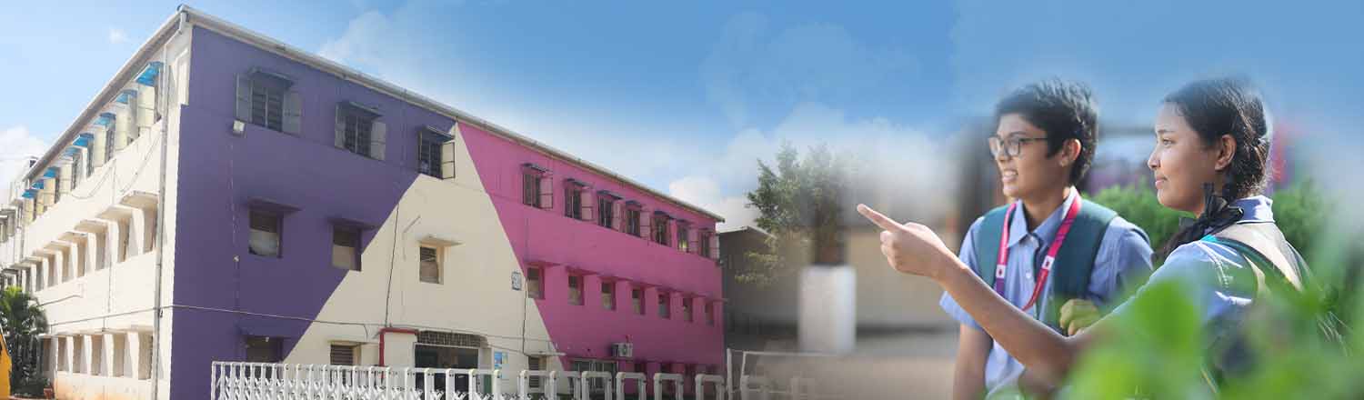 Johnson Grammar School photo 3